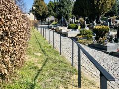 Foto - Aktuality 11. týdne