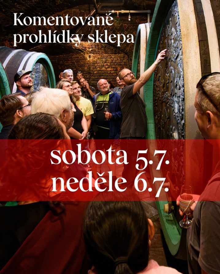 komentovane prohlidky