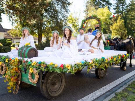 Bzenecké vinobraní 2025