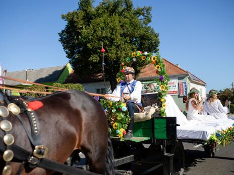 Bzenecké vinobraní 2025