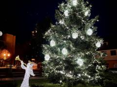 Foto - Aktuality 49. týdne