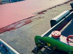 Foto - Aktuality 11. týdne