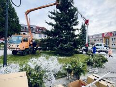 Foto - Aktuality 48. týdne