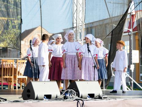 Bzenecké vinobraní 2025