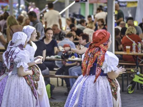 Festival vína a jídla 2025 (Filip Radosta)