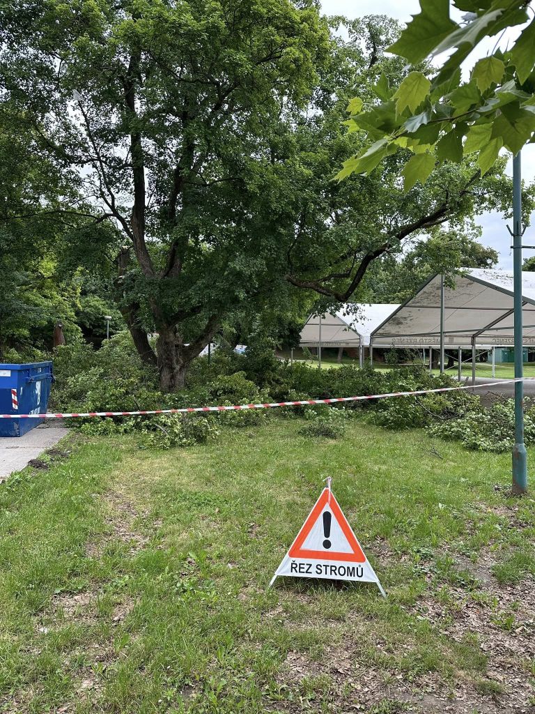 Ořez stromů v zámeckém amfiteátru