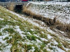 Foto - Aktuality 3. týdne