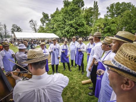 Festival vína a jídla 2025 (Filip Radosta)