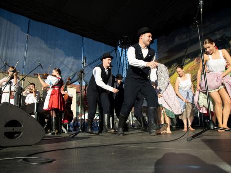 Bzenecké vinobraní 2025