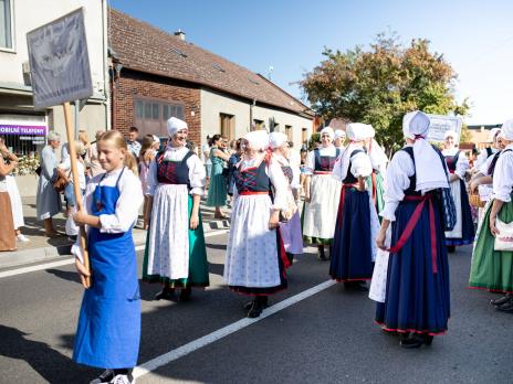 Bzenecké vinobraní 2025