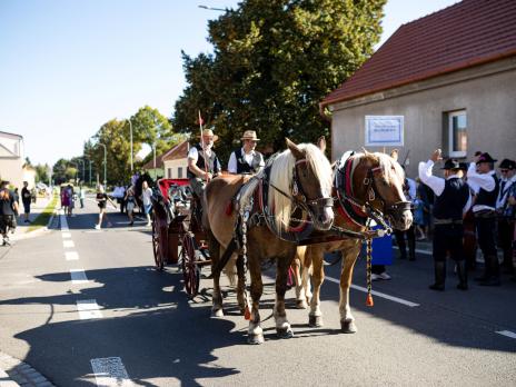 Bzenecké vinobraní 2025