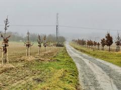 Foto - Aktuality 50. týdne