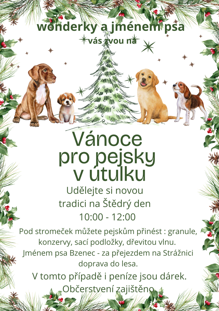 Vánoce pro pejsky-5
