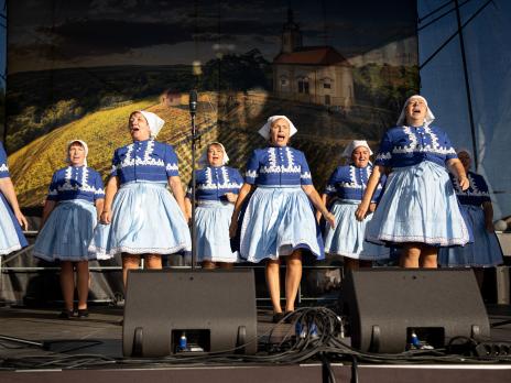 Bzenecké vinobraní 2025