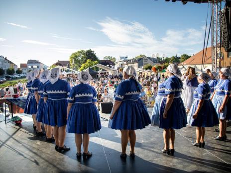 Bzenecké vinobraní 2025