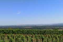 foto: modře značená trasa_vinohrady