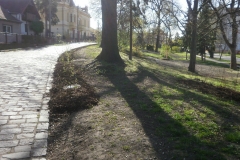 Revitalizace parku Horní náměstí